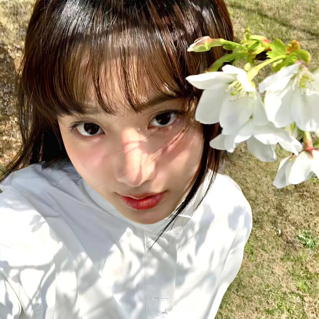 花楸故事